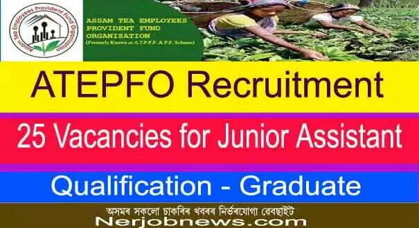 ATEPFO Recruitment 2021 – 25 Vacancies for Junior Assistant, Apply Online